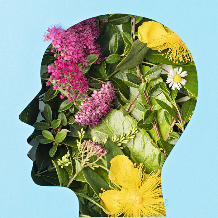 Papercut head with green leaves and flowers  Mental health, emotional wellness, contented emotions, self care, psychology, green thinking, ecology