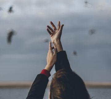 Sky 2025 02 10 00 37 06 utc 360x320