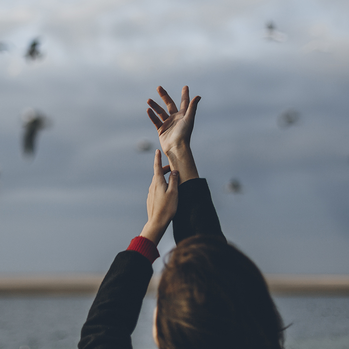 Sky 2025 02 10 00 37 06 utc